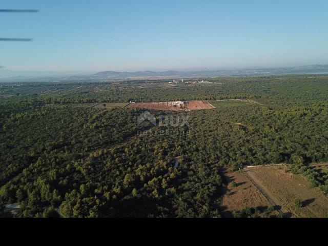 BIOGRAD NA MORU - Prostrano zemljište za izgradnju hotela ili kampa