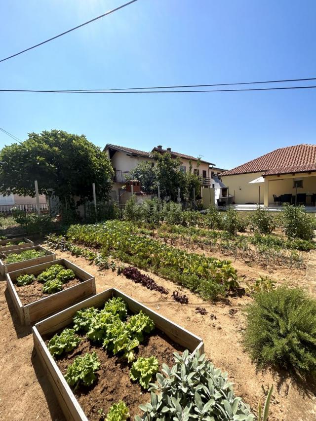 ZADAR, PRIVLAKA - A beautiful house with a large garden and an olive grove