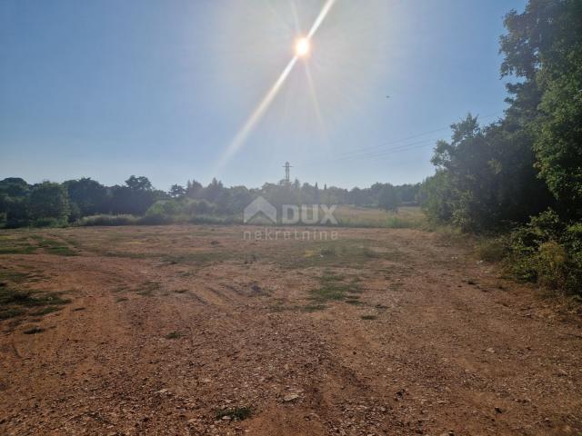 ISTRIA, TINJAN - Building plot in an excellent location