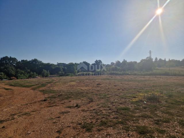 ISTRIA, TINJAN - Building plot in an excellent location