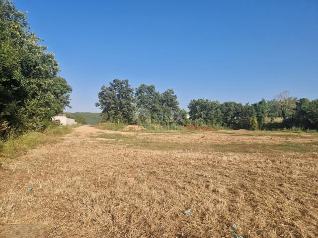 ISTRIA, TINJAN - Building plot in an excellent location