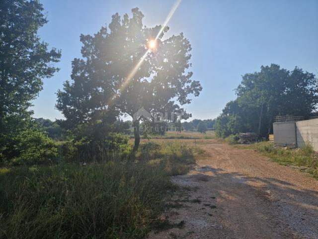 ISTRIA, TINJAN - Building plot in an excellent location