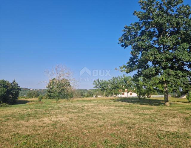 ISTRIA, TINJAN - Building land in a convenient location