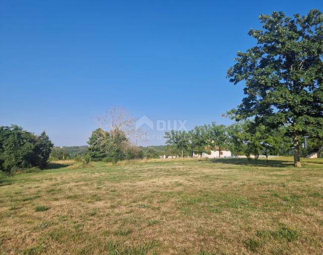 ISTRIA, TINJAN - Building land in a convenient location