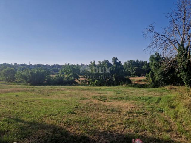 ISTRIA, TINJAN - Building land in a convenient location