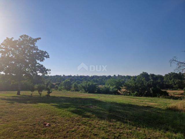 ISTRIA, TINJAN - Building land in a convenient location