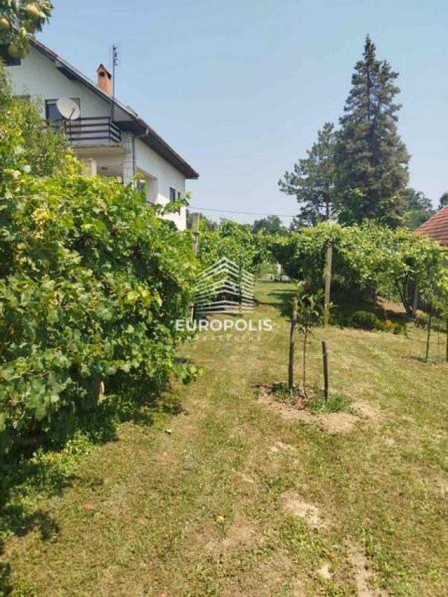 Brodarska, Šiljakovac, Barajevo ID#5938