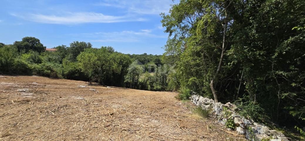 ISTRA, ROVINJ - Prostrano građevinsko zemljište 