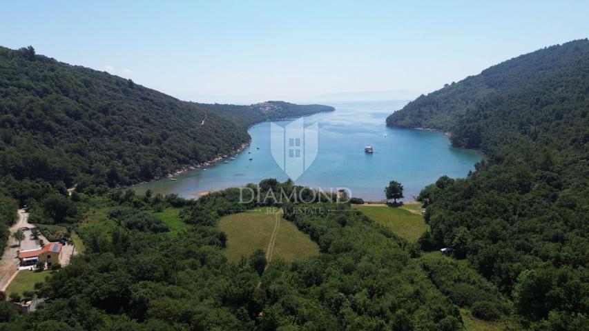 Labin, surroundings, agricultural land, 1st row to the sea