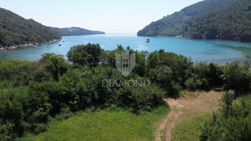 Labin, surroundings, agricultural land, 1st row to the sea