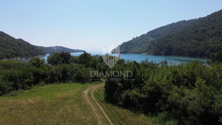 Labin, surroundings, agricultural land, 1st row to the sea