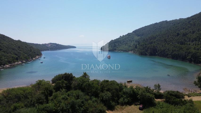 Labin, surroundings, agricultural land, 1st row to the sea