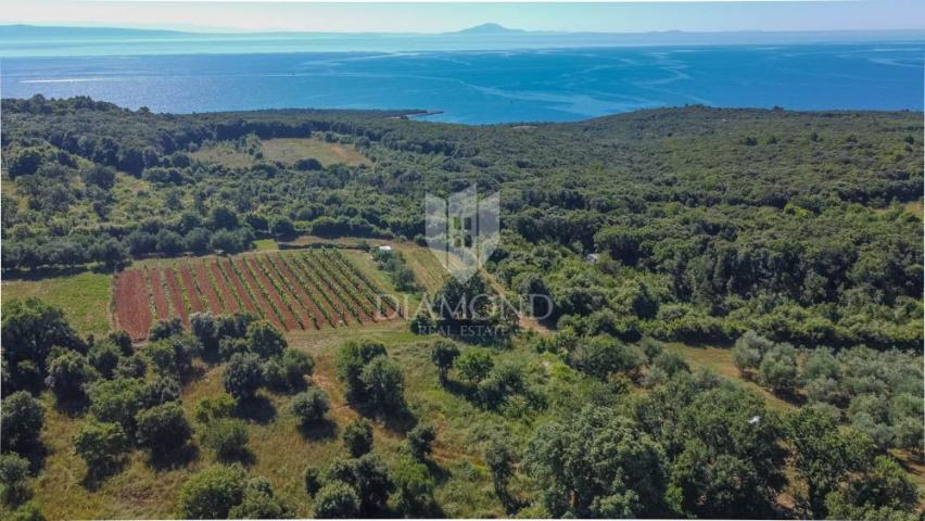 Marčana, okolica, zemljište sa pogledom na more!