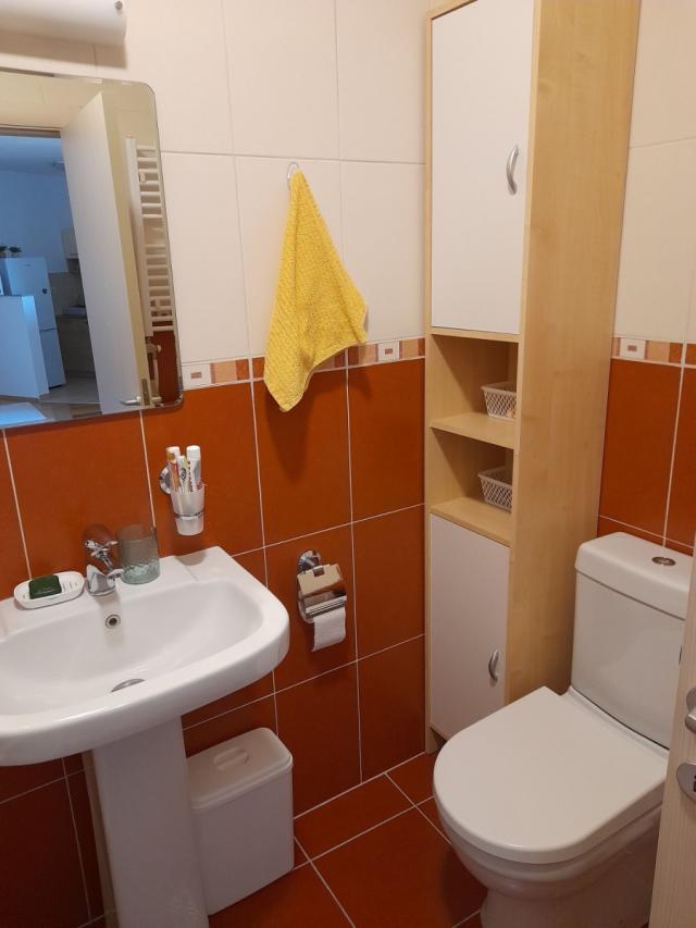 NOVI SAD - BULEVAR PATRIJARHA PAVLA - 48. 00 m2