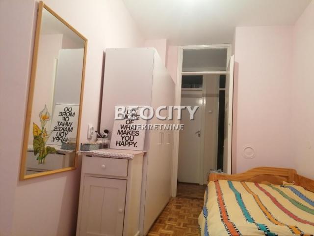 Novi Sad, Liman 2, , 2. 5, 53m2, 500EUR