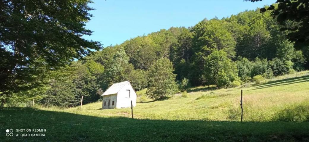 Property for sale in the village of Donja Bukovica, Savnik, 99130m2