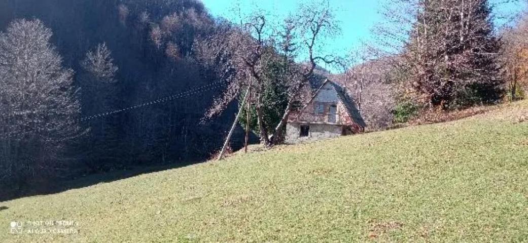 Property for sale in the village of Donja Bukovica, Savnik, 99130m2