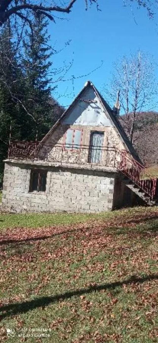 Property for sale in the village of Donja Bukovica, Savnik, 99130m2