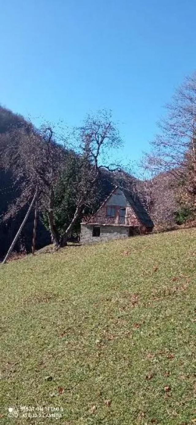 Property for sale in the village of Donja Bukovica, Savnik, 99130m2