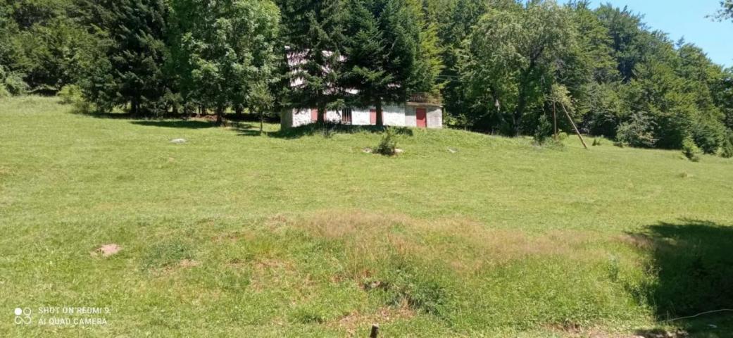 Property for sale in the village of Donja Bukovica, Savnik, 99130m2