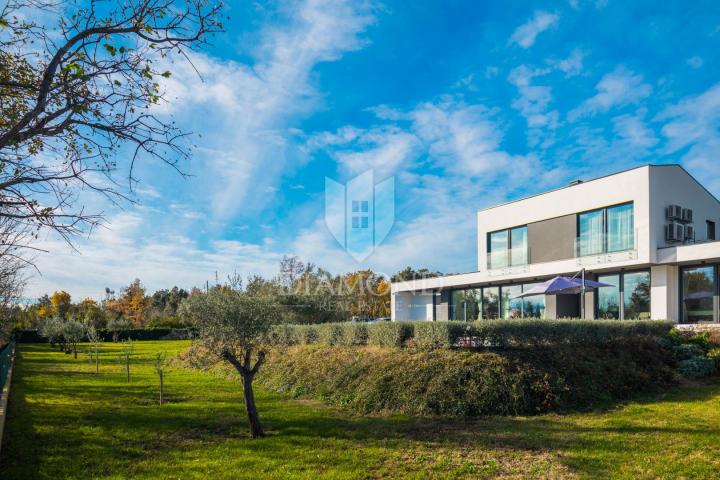 Marčana, surroundings, designer villa surrounded by nature