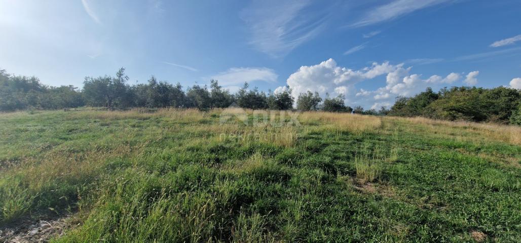 ISTRIA, PIĆAN - Beautiful complex of construction and agricultural land, view of Učka - complete pri