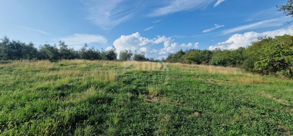 ISTRIEN, PIĆAN - Wunderschöner Komplex aus Bau- und Agrarflächen, Blick auf Učka - absolute Privatsp