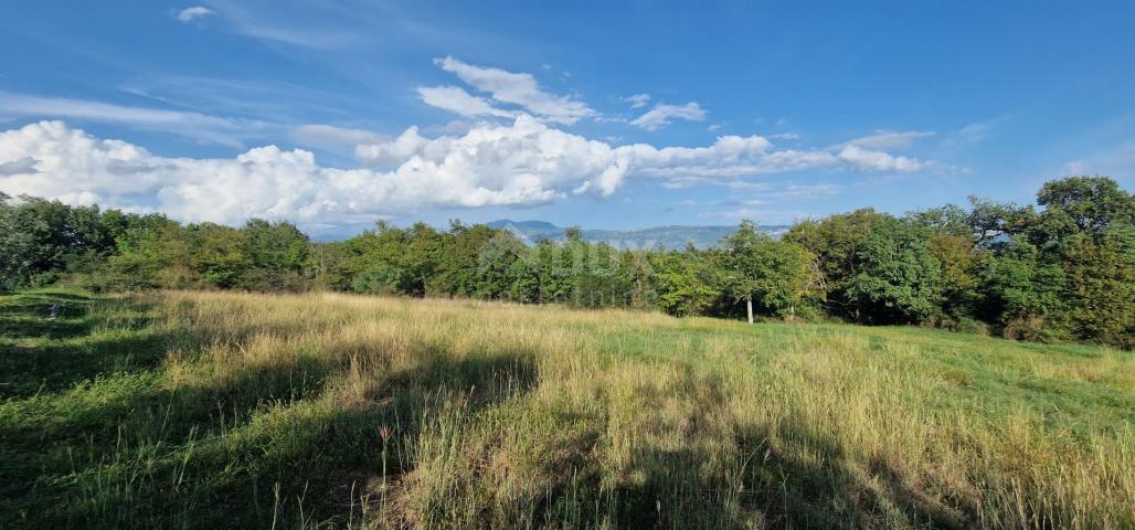 ISTRIA, PIĆAN - Beautiful complex of construction and agricultural land, view of Učka - complete pri