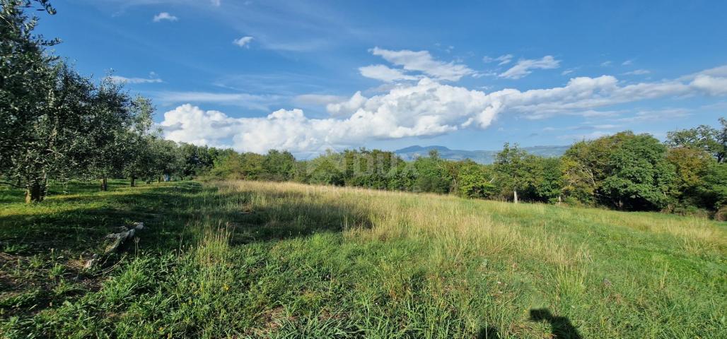 ISTRIA, PIĆAN - Beautiful complex of construction and agricultural land, view of Učka - complete pri