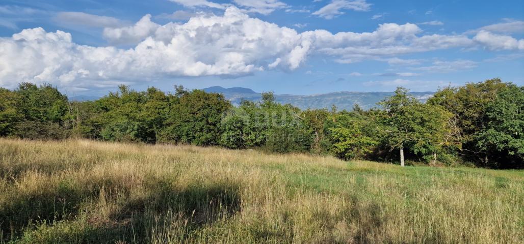 ISTRIA, PIĆAN - Beautiful complex of construction and agricultural land, view of Učka - complete pri