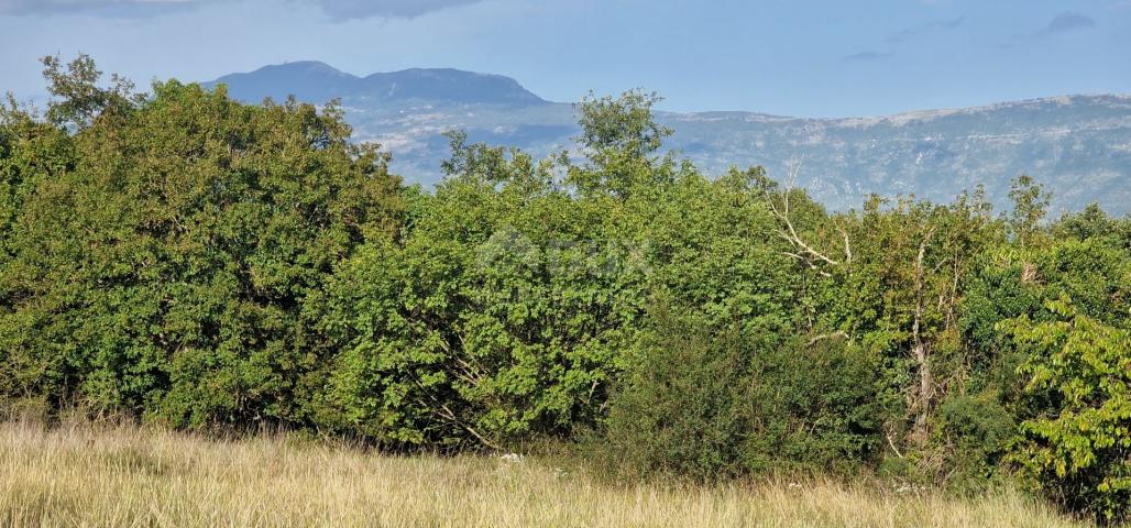 ISTRA, PIĆAN - Prekrasan kompleks građevinskog i poljoprivrednog zemljišta, pogled na Učku - potpuna