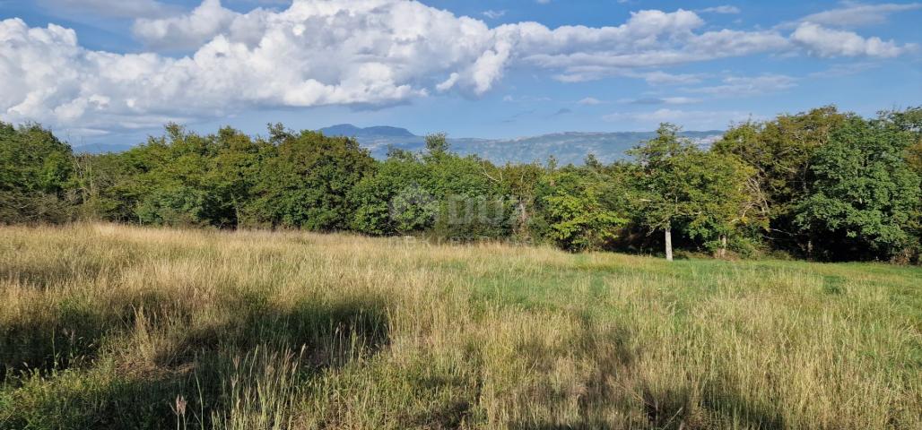 ISTRIA, PIĆAN - Beautiful complex of construction and agricultural land, view of Učka - complete pri