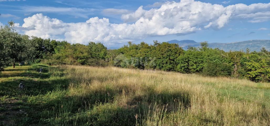 ISTRIA, PIĆAN - Beautiful complex of construction and agricultural land, view of Učka - complete pri