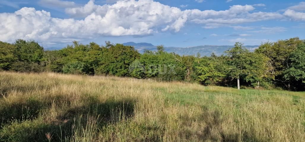 ISTRIA, PIĆAN - Beautiful complex of construction and agricultural land, view of Učka - complete pri