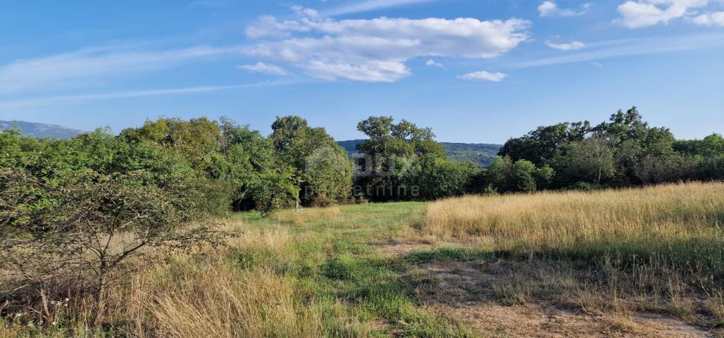 ISTRIA, PIĆAN - Beautiful complex of construction and agricultural land, view of Učka - complete pri