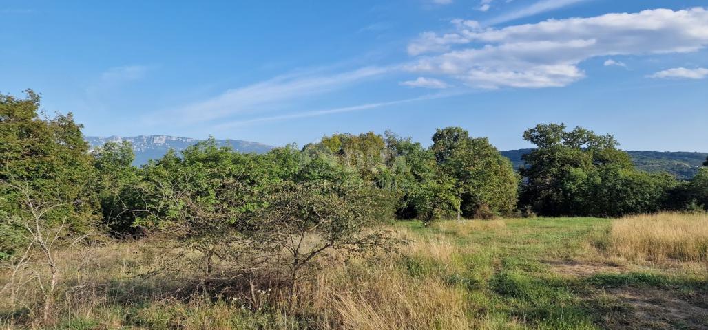 ISTRIA, PIĆAN - Beautiful complex of construction and agricultural land, view of Učka - complete pri