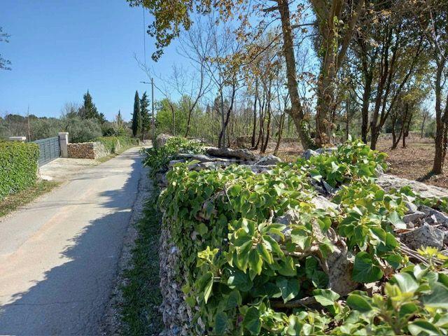 ISTRIA, RAKALJ - Agricultural green in a prime location