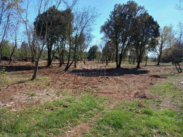 ISTRIA, RAKALJ - Agricultural green in a prime location