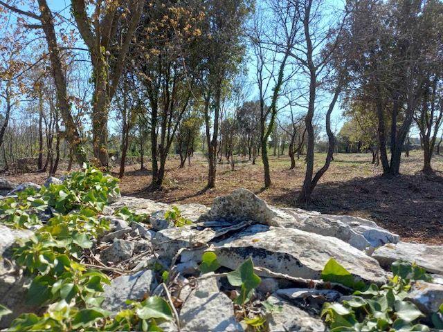 ISTRIA, RAKALJ - Agricultural green in a prime location