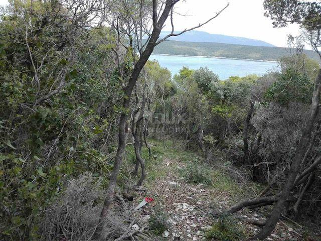 ISTRIA, RAKALJ - Land on the foam of the sea