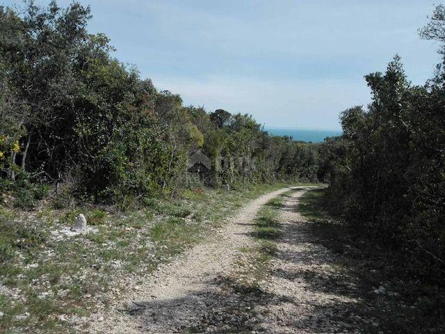 ISTRIA, RAKALJ - Land on the foam of the sea