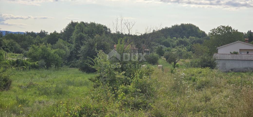 ISTRA, PIĆAN - Building land suitable for investors