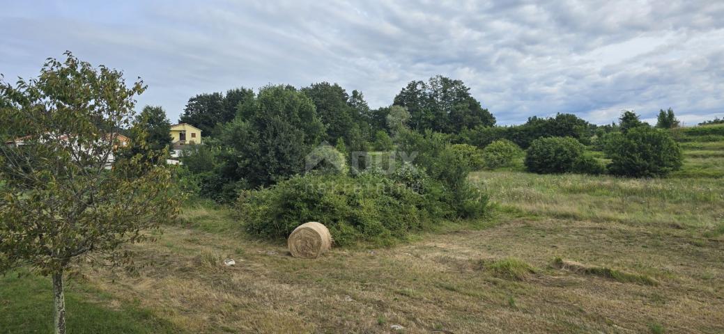 ISTRA, PIĆAN - Building land suitable for investors