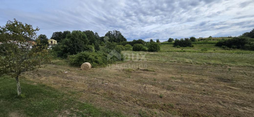 ISTRA, PIĆAN - Building land suitable for investors