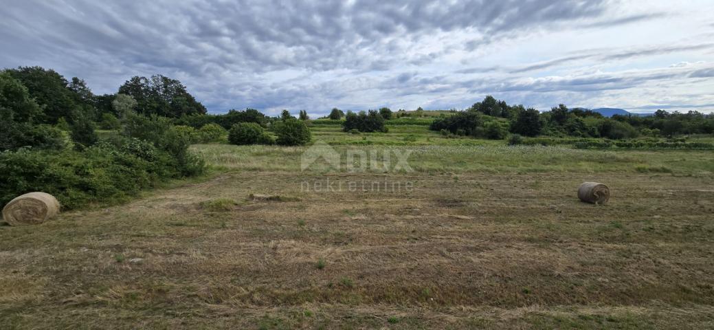 ISTRA, PIĆAN - Building land suitable for investors