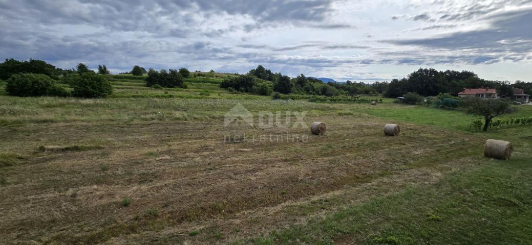 ISTRA, PIĆAN - Building land suitable for investors