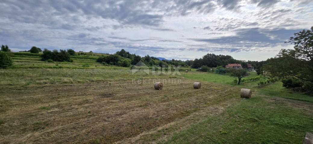 ISTRA, PIĆAN - Građevinsko zemljište pogodno za investitore