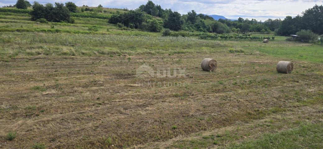 ISTRA, PIĆAN - Building land suitable for investors