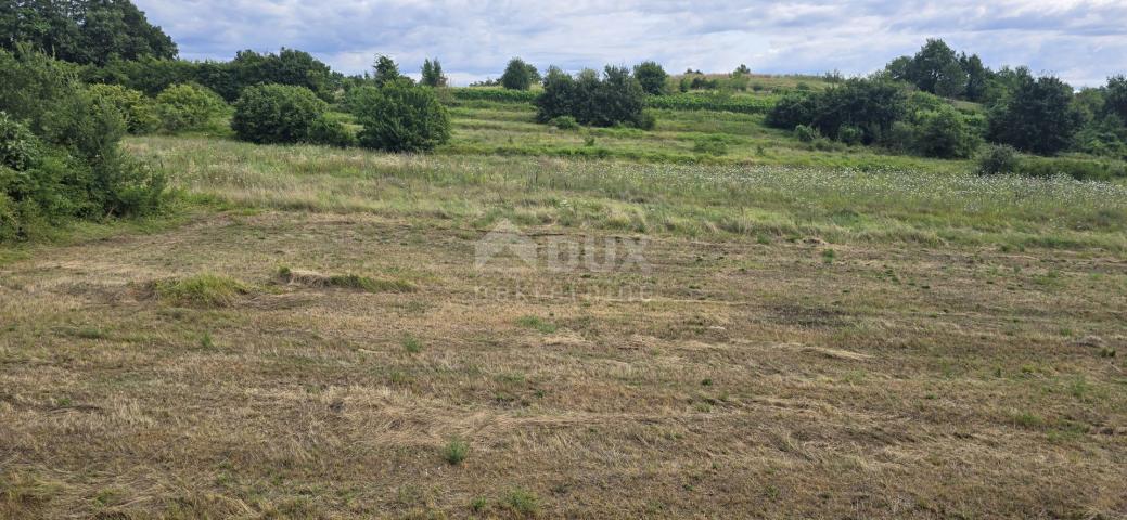 ISTRA, PIĆAN - Building land suitable for investors