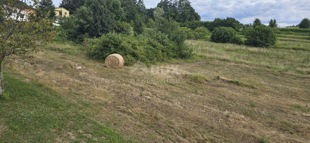 ISTRA, PIĆAN - Building land suitable for investors